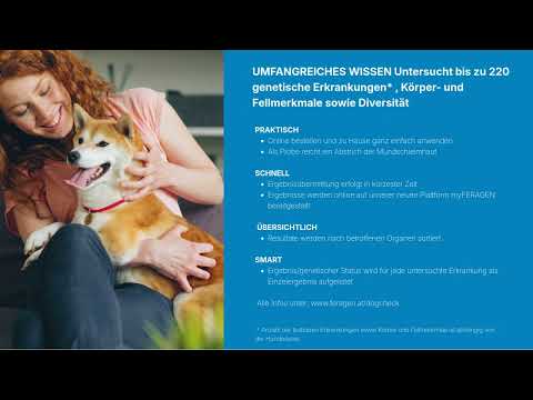 🐶 DogCheck – Der genetische Gesundheitscheck für deinen Hund!