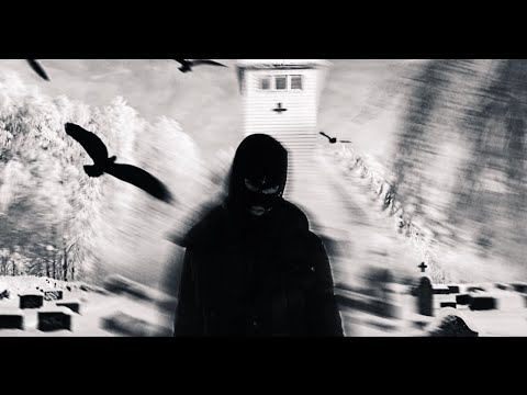 devilish polo - frozen