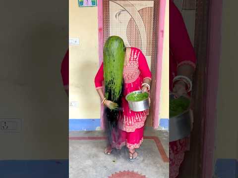 Aloe vera and hibiscus flower leaf hair mask for hair growth 🌺 #shorts #hairstyle #haircare #hair