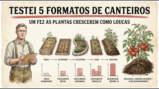 Testei 5 formatos de canteiros — um fez as plantas crescerem como loucas