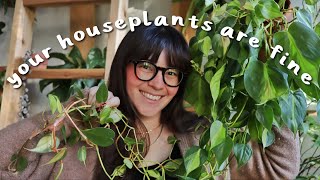COMMON & NORMAL houseplant behavior (aka your plants AREN'T dying)