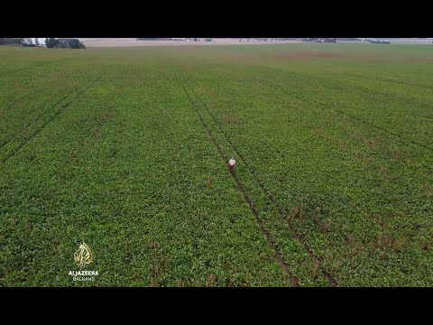 Al Jazeera Svijet: Satelitska poljoprivreda