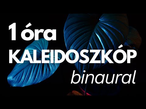 1 óra kaleidoszkóp tudatalatti programozáshoz | Binaural
