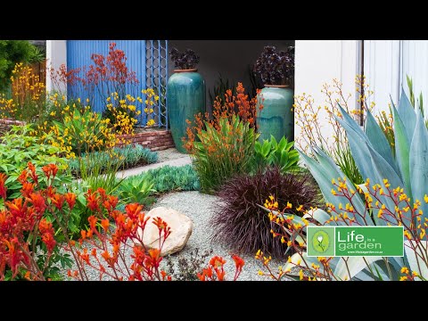 No Mow Lawn Alternatives