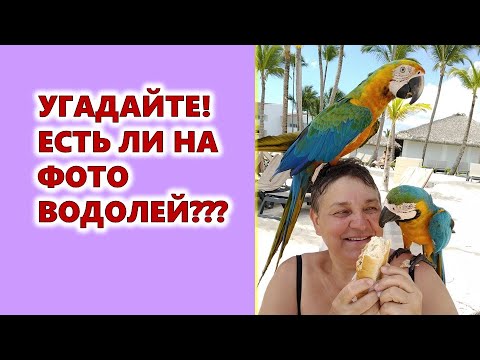 , title : 'Угадайте!!! Кто на фото Водолей??? Агрогороскопы, агроастрология в помощь огородникам, садоводам'