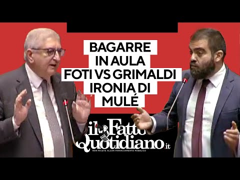 Bagarre in Aula, Foti vs Grimaldi. Mulè: "Siete tutti primi al traguardo del mio cuore"