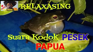 Download lagu RELAKSASI SUARA KODOK PAPUA. mp3