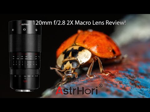 Video thumbnail for Video Review 3
