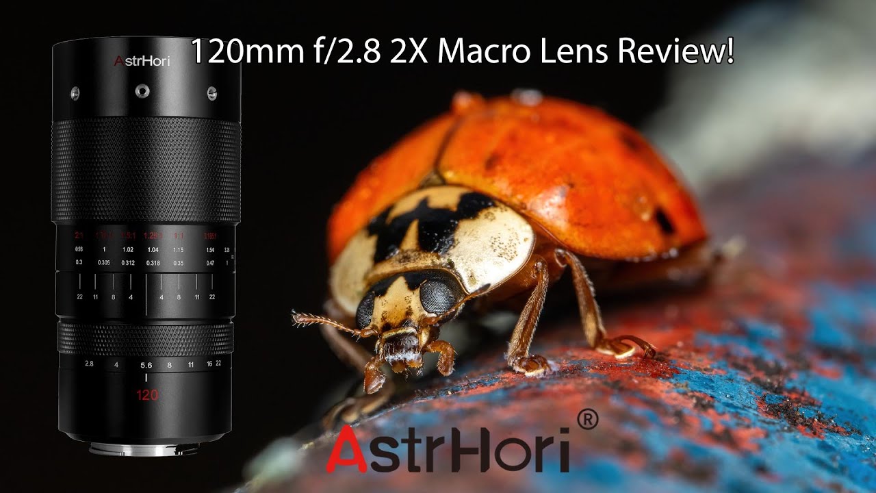 Video thumbnail for Video Review 3