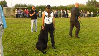 preview picture of video 'Attacco, Rottweiler ITALIAN KLUBSIEGER 2012 - Campionato di Bellezza - Cascina Dal Pozzo'