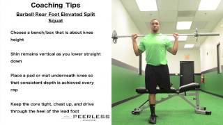 295. Barbell Rear Foot Elevated Split Squat