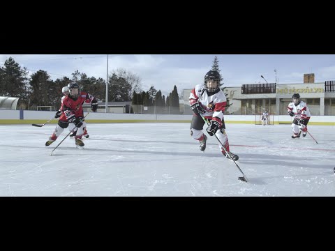 Szombathelyi Pingvinek