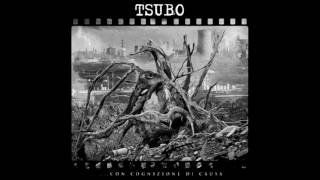 Tsubo - Storm of Stress (Terrorizer Cover)