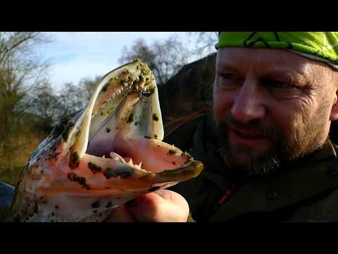 Matze Koch: A bite indicator for all occasions