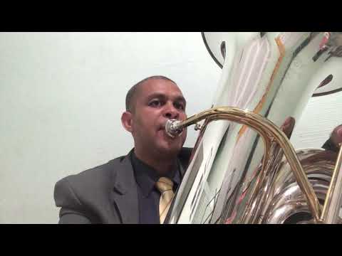 Casa das tubas tudo em tuba e instrumento musical de sopro tuba wntu1 prata com ouro tuba weril