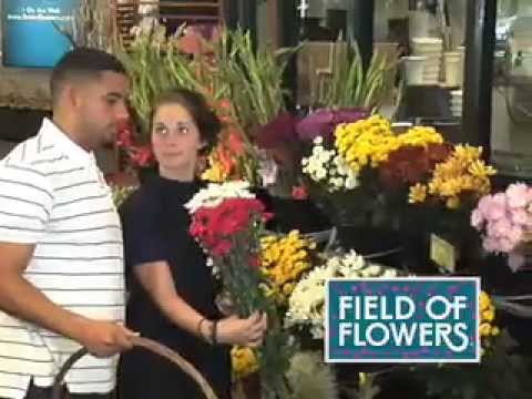 Field of Flowers Commercial Featuring Alstroemeria & Rose Arrangement