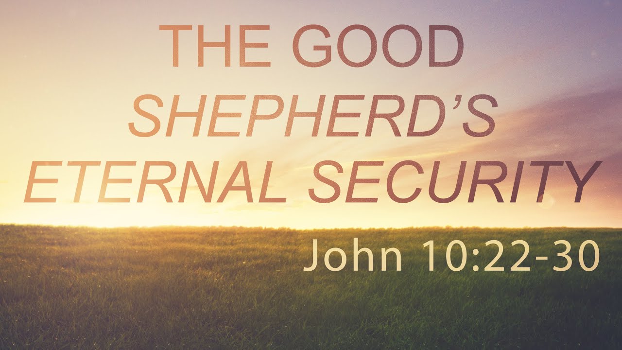 The Good Shepherd's Eternal Security