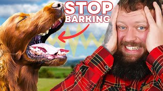 How To Stop Your Dog Barking - You Can Do This Right Now
