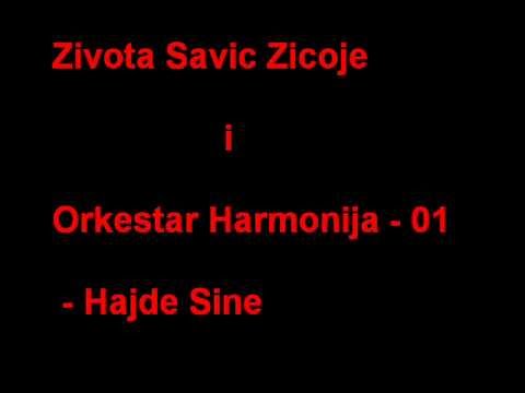 Zivota Savic Zicoje i Orkestar Harmonija - 01 - Hajde Sine