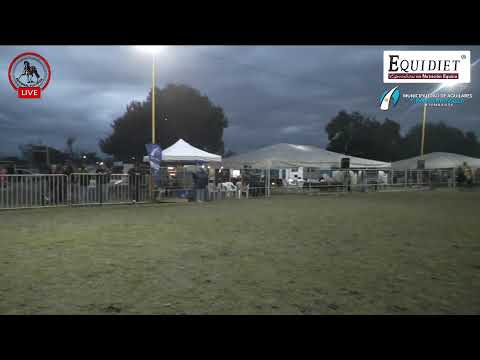 🔴🔴 Campeonatos Departamental de Aguilares 2026 🔴🔴