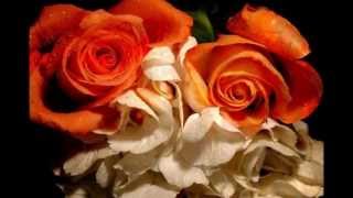 JOSE MANUEL SOTO - MI PIEL CONTRA SU PIEL - JULIO