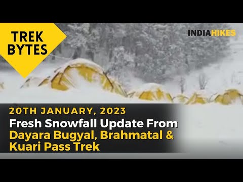 Fresh Snowfall Update From Dayara Bugyal, Brahmatal & Kuari Pass treks | 20th Jan 2023 | Indiahikes