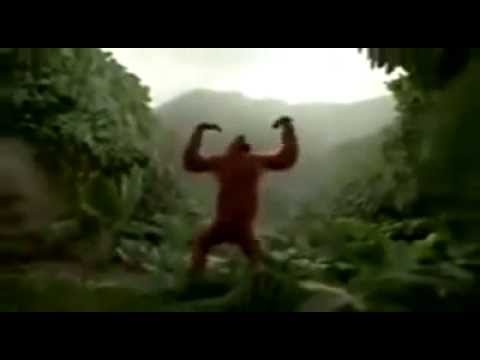 JE LUI DONNE DES COUP DE QUEUE