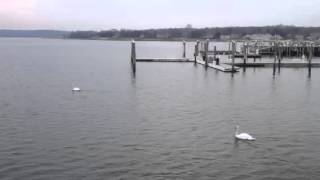 "Sunday on the River."