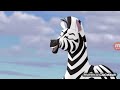 The Grass Problem The Mbali Fields Migration HD Clip