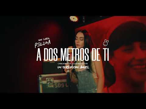 PELUXA - A DOS METROS DE TI (DANI ILABEL)