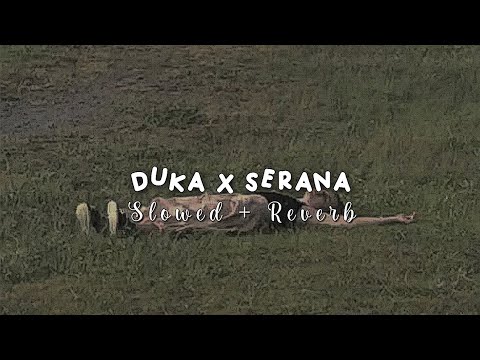 Last Child x For Revenge - Duka x Serana ( slowed + reverb )