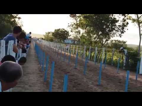Final do 4°torneio de corrida de cavalos  Baixa grande dia 05-09-16 tordilho César x Castanho Bengo