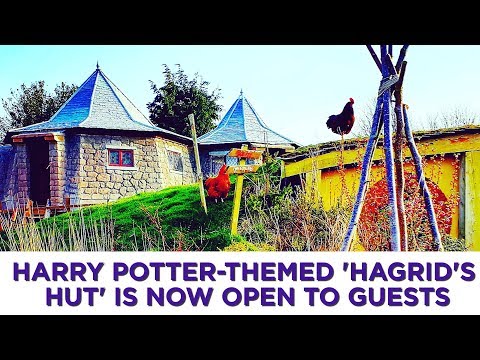 Harry Potter-themed 'Hagrid's Hut' is now open to guests