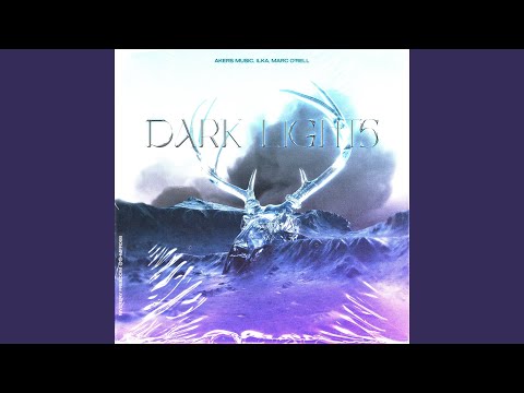 Dark Lights (Radio Mix)