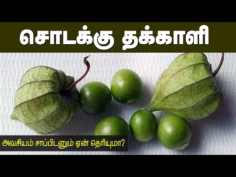 இந்த செடியை பார்த்தால் விட்டுவிடாதீர்கள் எதற்கு என்றால்? | Sodakku Thakkali