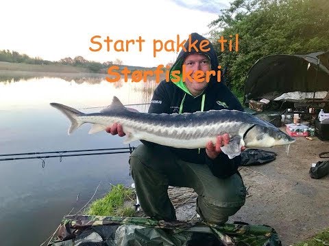 Stør start pakke
