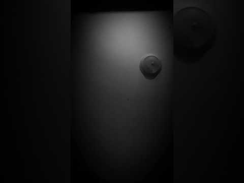 Karaoke Silver Wings Merle Haggard