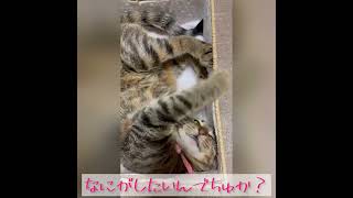 どどどどいうこと？😽❣️