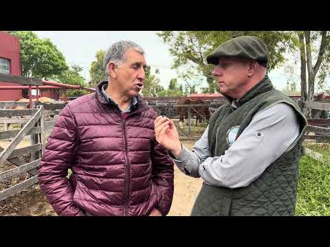 Remate destacado en Bahía Blanca: el análisis de Kitty Erkazti sobre un noviembre espectacular