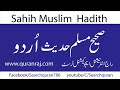 Sahih Muslim Hadith 2205