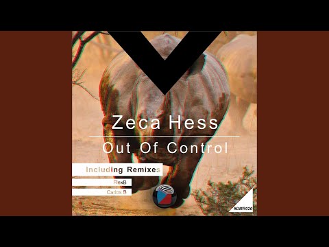 Out Of Control (FlexB Remix)
