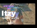 HOW WOULD ITZY SING ’Cool” by Weki Meki HOW WOULD ITZY SING ’Cool” by Weki Meki