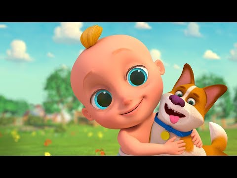 Bingo - Músicas Infantis | O Reino Infantil