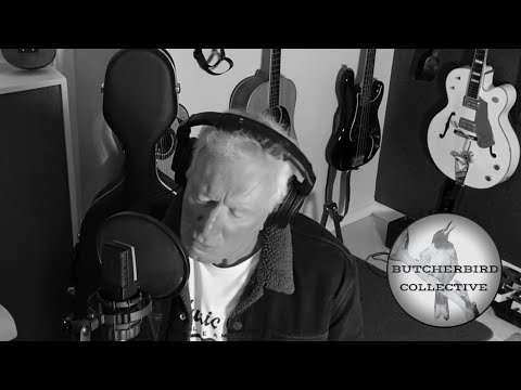 I'm On Fire | Bruce Springsteen | Cover (featuring Steve Ashley)