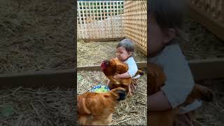 Download lagu Child Catching Hen short #funny mp3 Download lagu Child Catching Hen short #funny mp3