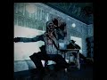 AMNEVSEMALO Cry Of Fear
