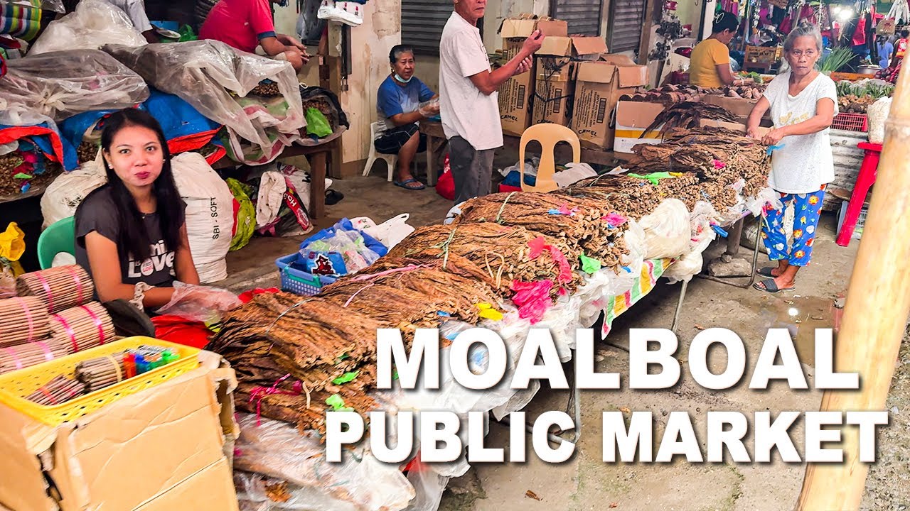 Embark on a walking tour at Moalboal Public Market.