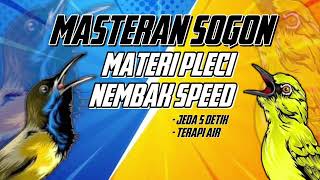 Download lagu MASTERAN SOGON‼️ MATERI PLECI NEMBAK SPEED‼️ #sogon #sogongacor #sogokontong mp3