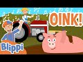 Animal Sounds On The Farm Educational Songs For Kids