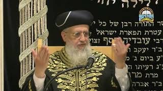 שיעור מרתק: ההבדלים בין הלוח העברי לנוצרי והמוסלמי Iמרן הראשון לציון הגאון הגדול רבי דוד יוסף שליט"א (מוסדות יחווה דעת) - התמונה מוצגת ישירות מתוך אתר האינטרנט יוטיוב. זכויות היוצרים בתמונה שייכות ליוצרה. קישור קרדיט למקור התוכן נמצא בתוך דף הסרטון